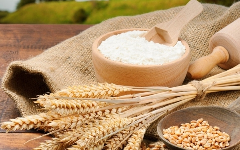 Bột mì đa dụng được sản xuất chủ yếu từ lúa mì