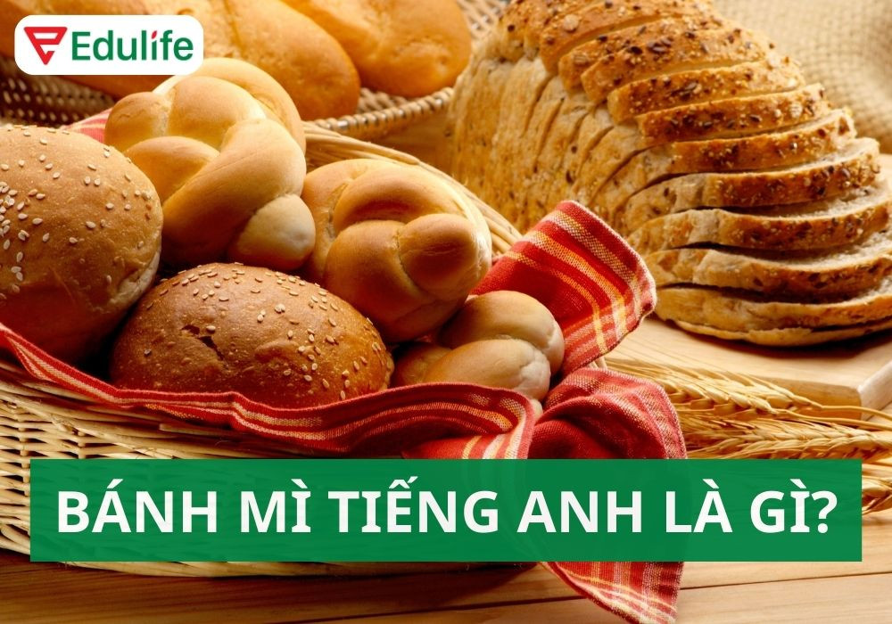 Các loại bánh mì đa dạng được gọi là bread trong tiếng Anh