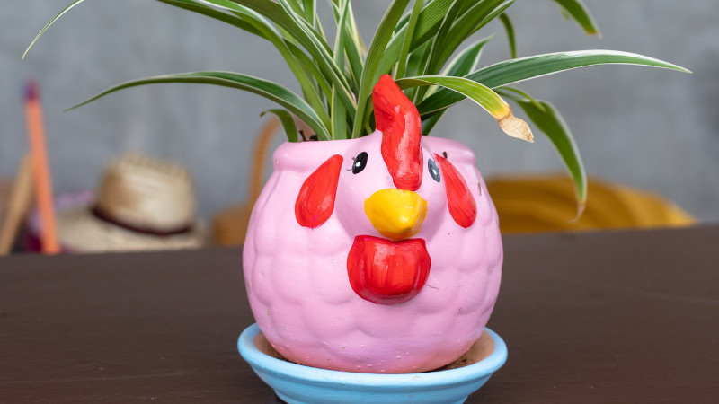 chậu cây xanh tươi - ý tưởng quà tặng kèm bánh kem chia tay