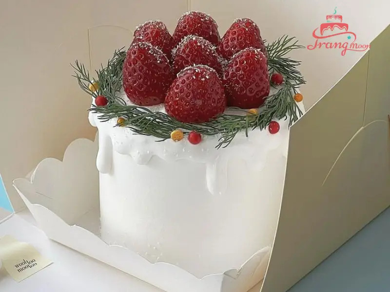 Mẫu bánh kem trái cây tươi đơn giản và đẹp