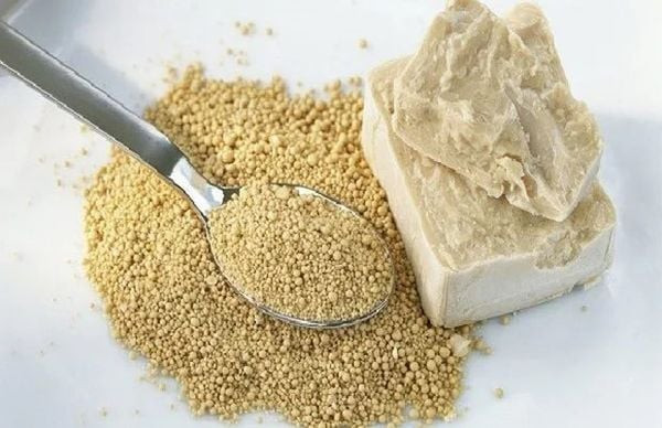 Men nở instant giúp bánh mì que phồng xốp