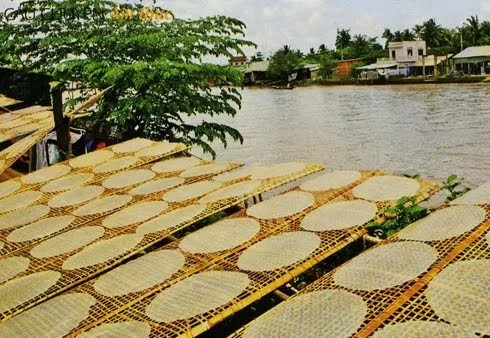 Quy trình phơi bánh tráng bột gạo thủ công dưới nắng