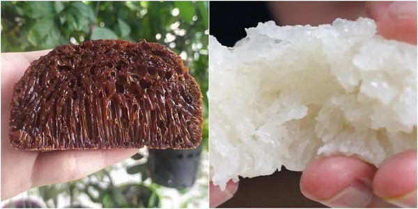 Bánh bò bị cứng, không có rễ tre là hai vấn đề thường gặp khi làm bánh
