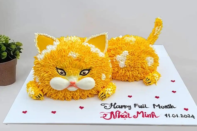 Bánh sinh nhật con mèo độc đáo với mèo đeo kính