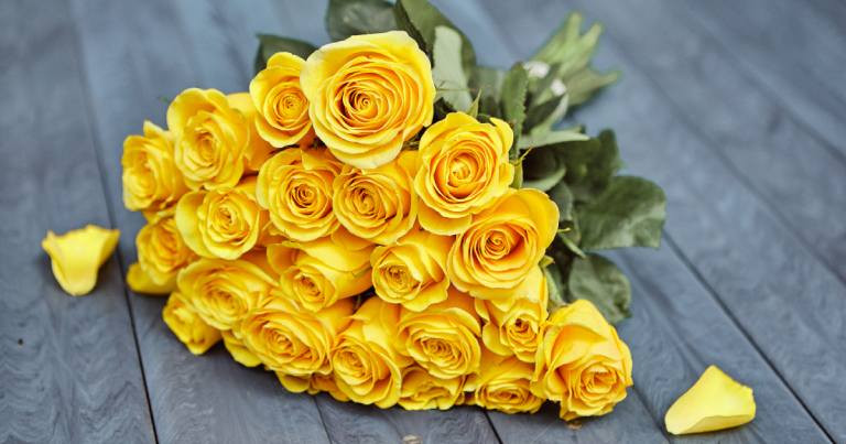 Bó hoa hướng dương rạng rỡ biểu trưng cho tình bạn chân thành và bền chặt