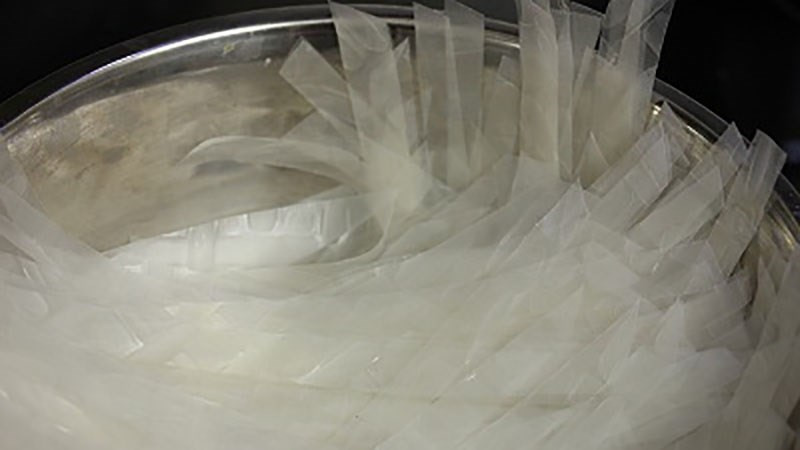 Cô gái đang thưởng thức bánh tráng trắng, minh họa cho việc tiêu thụ bánh tráng một cách điều độ.