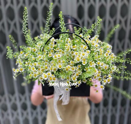 Giỏ hoa Tana cúc xinh