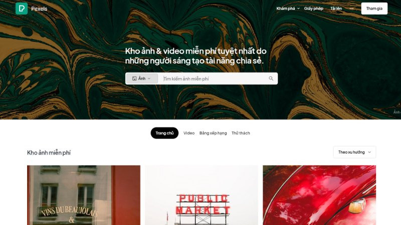 Kho ảnh hoa phong phú trên Pexels