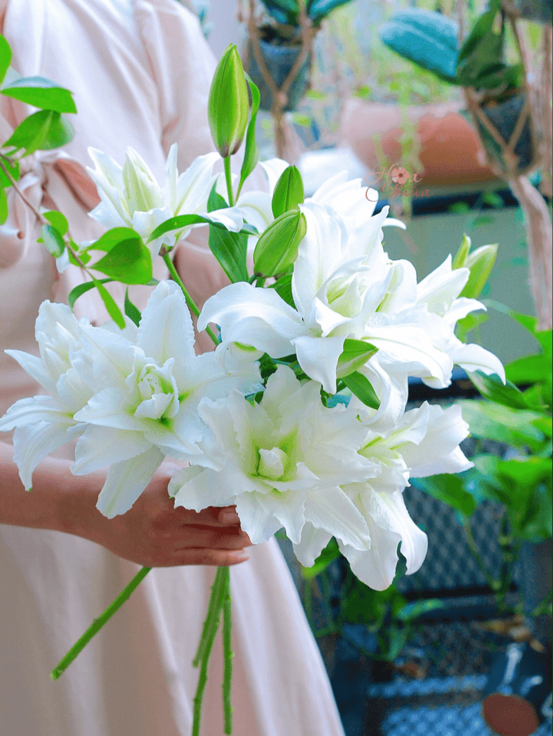 Lẵng hoa ly trắng tinh khôi, tượng trưng cho sự thuần khiết và quý phái trong hoa sinh nhật