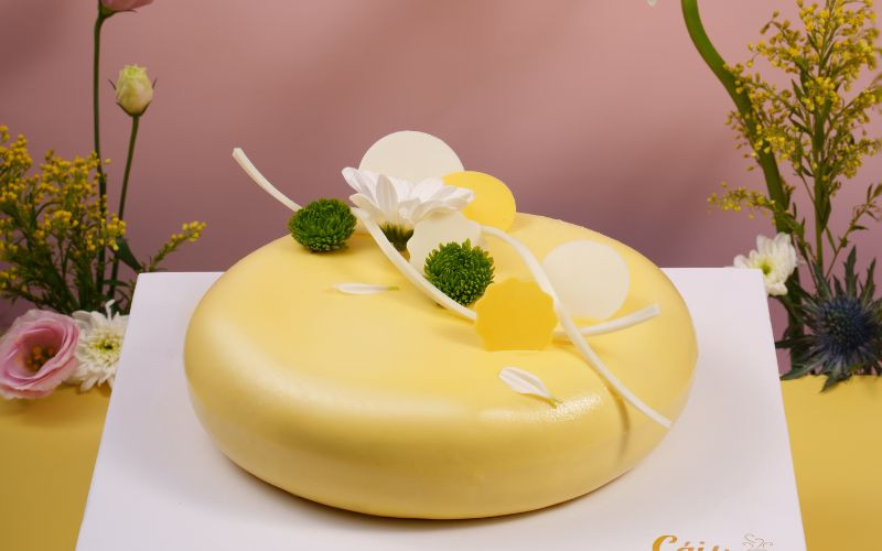 mẫu bánh sinh nhật entremet thanh trà hiện đại