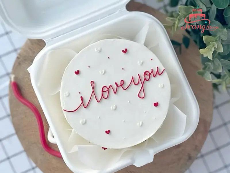 Mẫu bánh sinh nhật Hàn Quốc cho nữ kiểu Bento màu hồng nhẹ nhàng