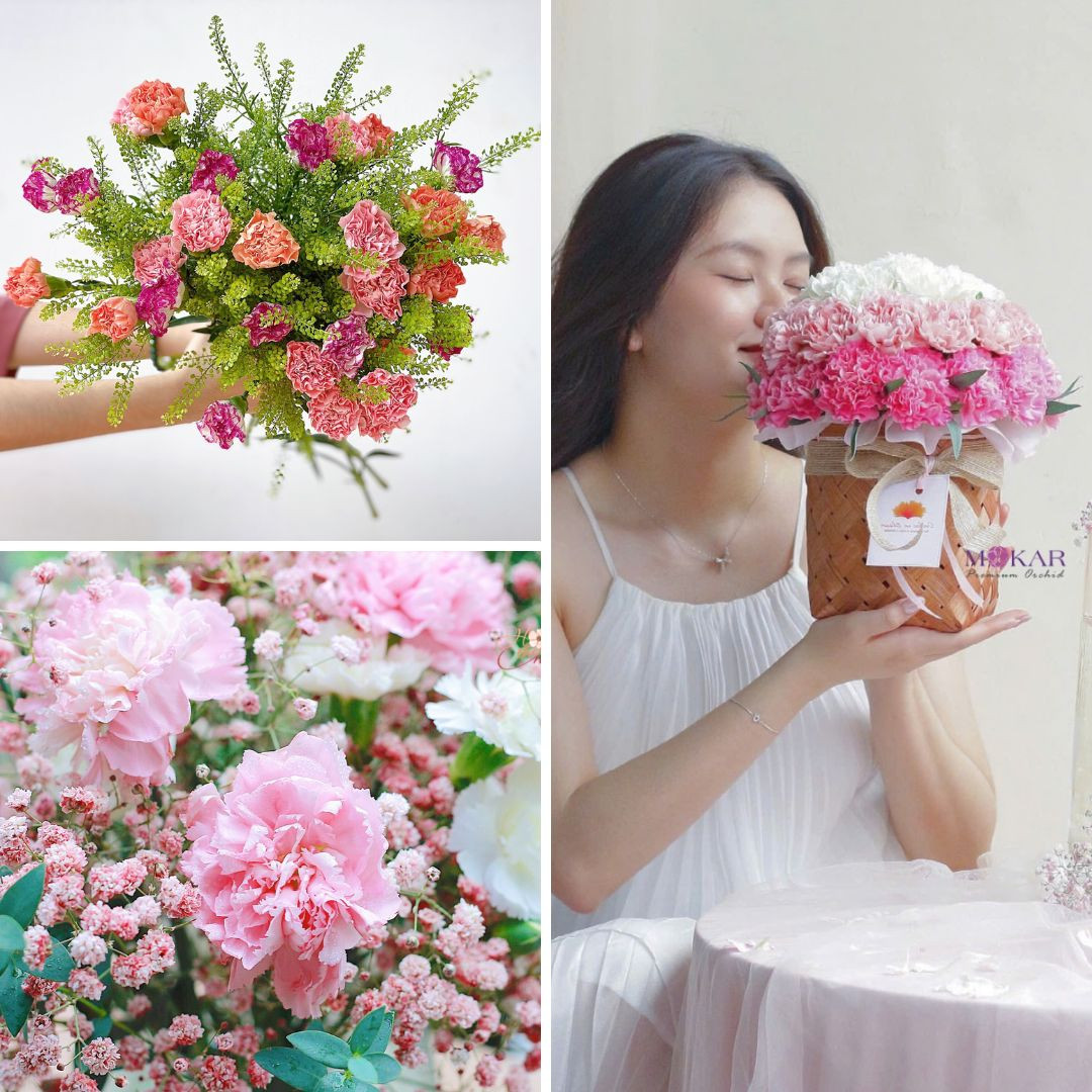 mẫu hoa sinh nhật đẹp gồm cẩm chướng nhiều màu sắc thể hiện sự trân trọng