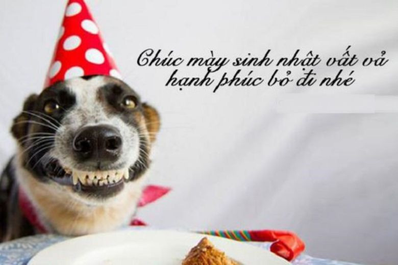 Meme chúc mừng sinh nhật 6
