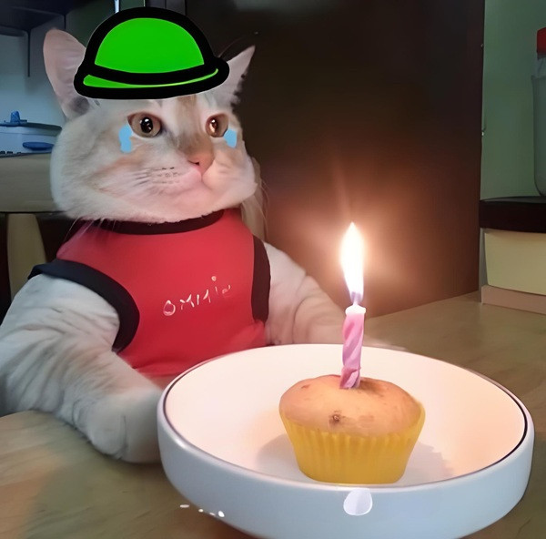 Meme sinh nhật đáng nhớ
