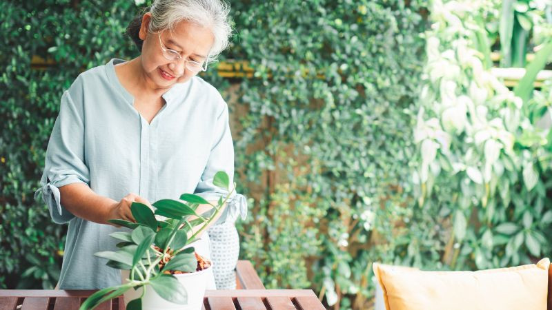Người cháu trao món quà và lời chúc sinh nhật bác gái đầy ý nghĩa, thể hiện tình cảm gia đình