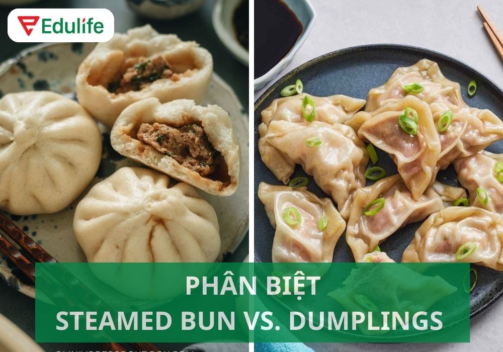 So sánh trực quan giữa steamed buns và dumplings, giúp hiểu rõ bánh bao tiếng Anh là gì