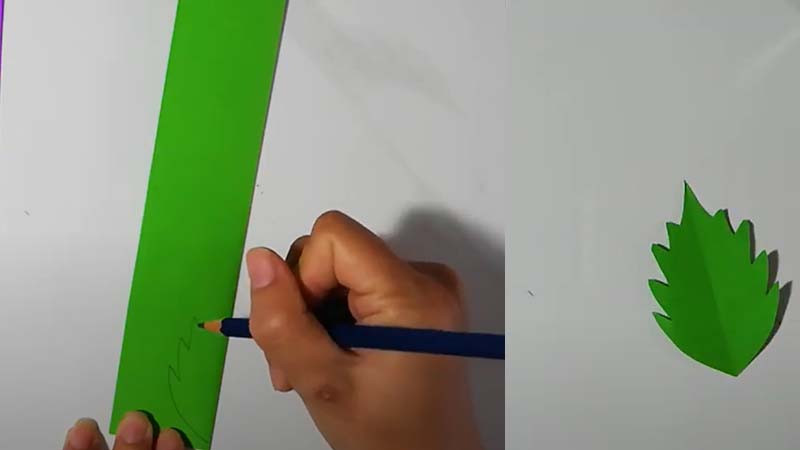 Vẽ lá giấy và lá giấy hoàn chỉnh để trang trí thiệp