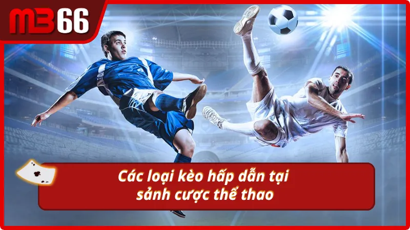MB66 mang đến nhiều loại kèo thể thao phù hợp với mọi phong cách cược