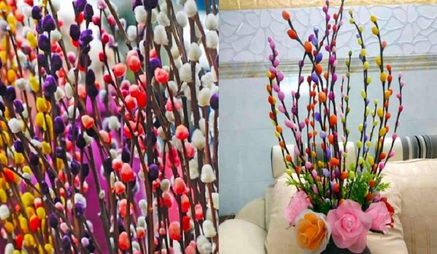 Nụ tầm xuân biểu tượng cho sự sinh sôi và phát triển