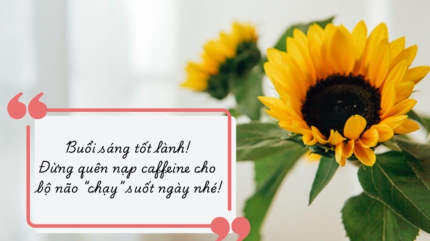 Lời chúc có thể dành tặng cho nhiều người, từ gia đình, người yêu đến bạn bè