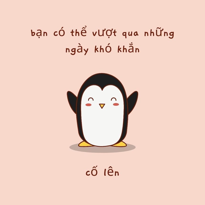 Một chiếc meme tự thiết kế sẽ để lại ấn tượng đặc biệt với người nhận