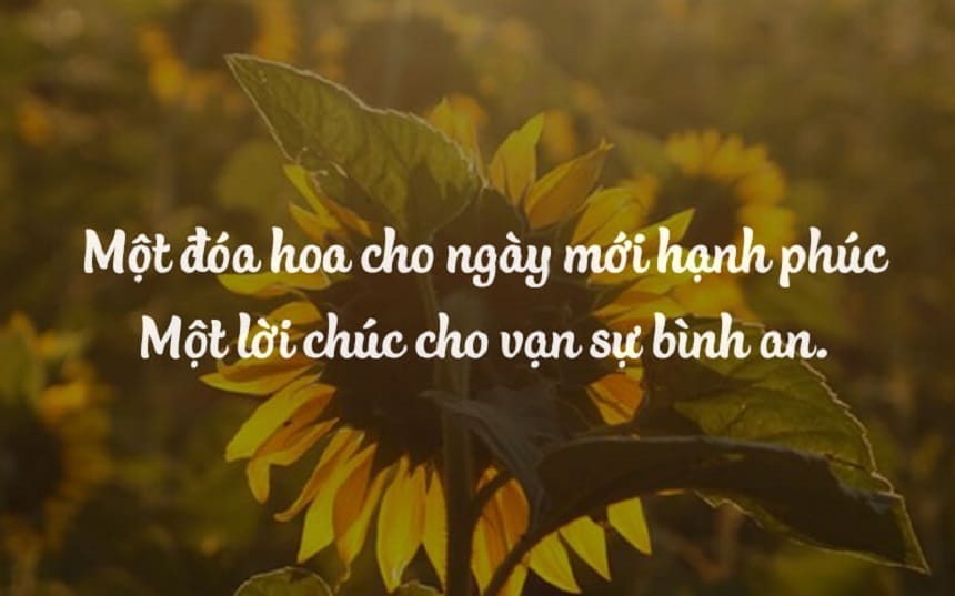 Bỏ túi bí quyết giúp lời chúc bình an của bạn thêm tinh tế