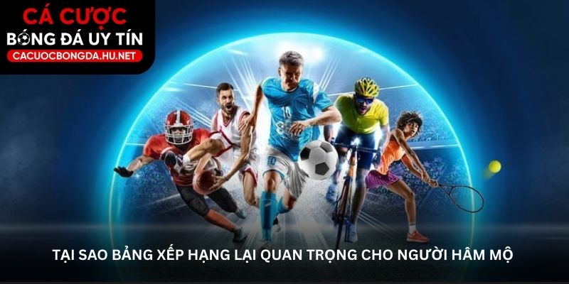 Tại sao bảng xếp hạng lại quan trọng cho người hâm mộ