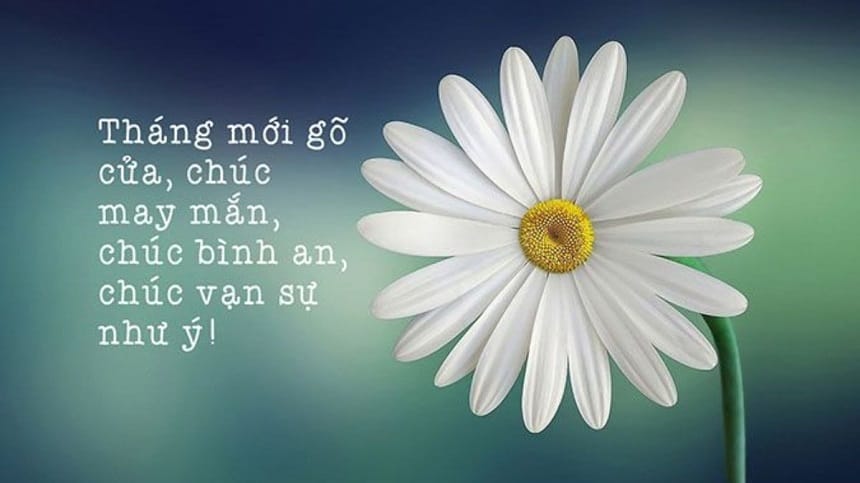 Lời chúc tháng mới dành cho bạn bè