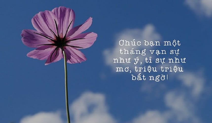 Hướng dẫn cách chọn thiệp phù hợp với đối tượng