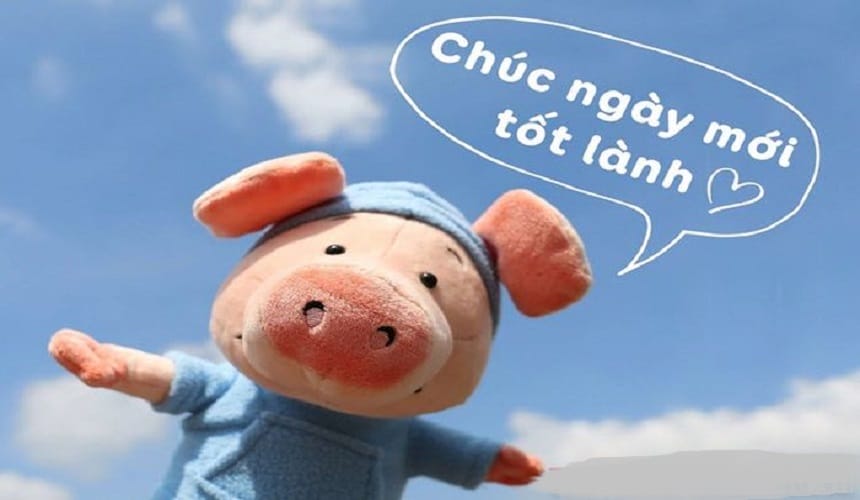 Những lời chúc buổi tối hài hước, dí dỏm
