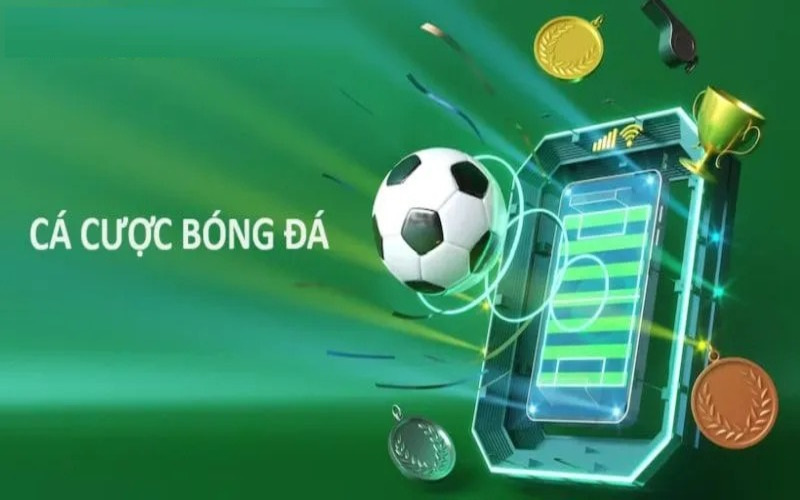 Những Yếu Tố Tạo Nên Một Trang Cá Cược Uy Tín