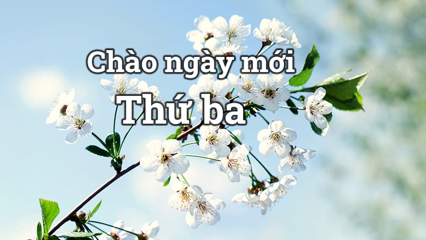 Hình ảnh một ngày thứ Ba đầy tươi mới