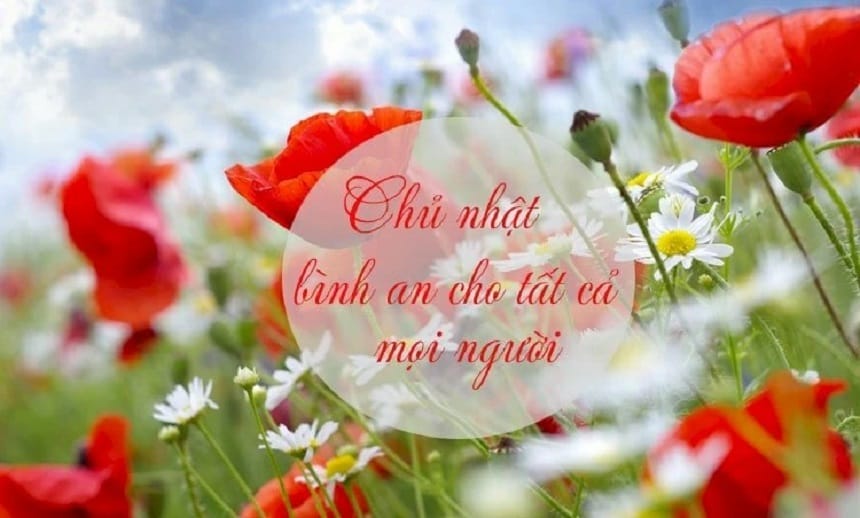 Lời nhắn hay giúp bạn tạo ấn tượng với đối phương