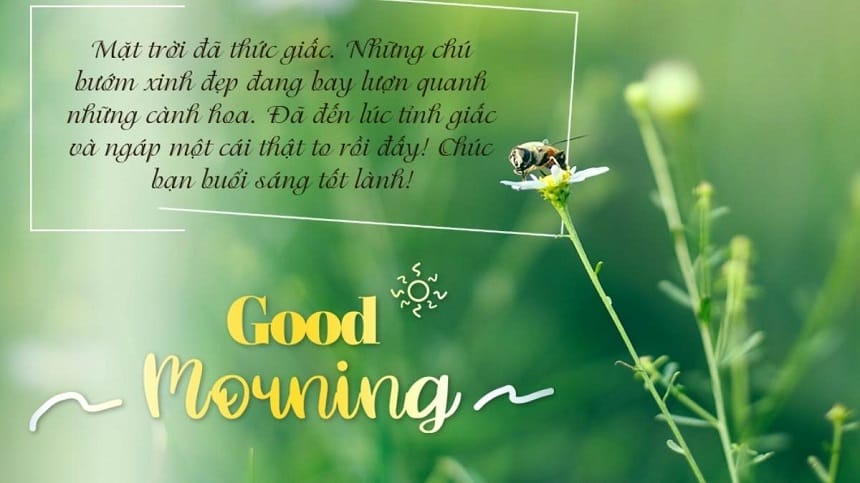 Mỗi đối tượng sẽ có những lời chúc phù hợp riêng