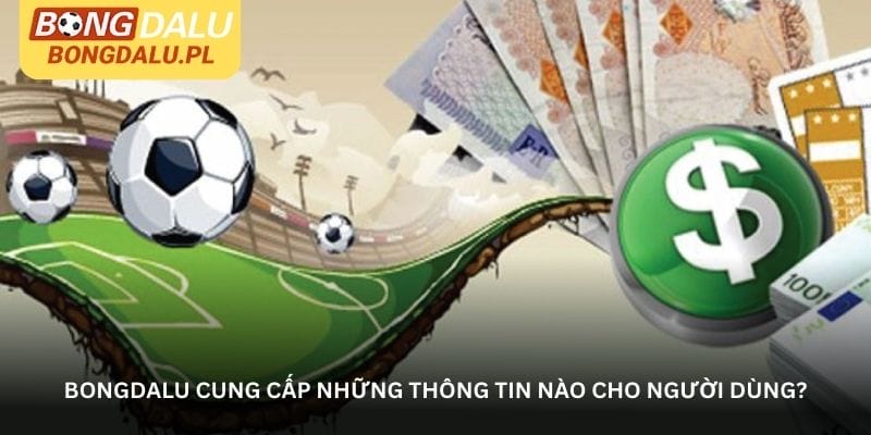 Bongdalu cung cấp những thông tin nào cho người dùng?