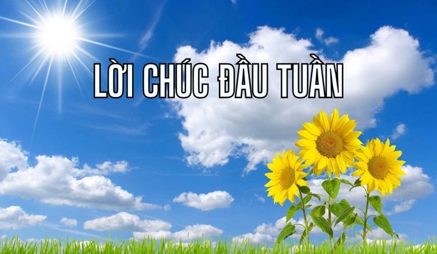 Lời chúc đầu tuần vui vẻ cho đồng nghiệp