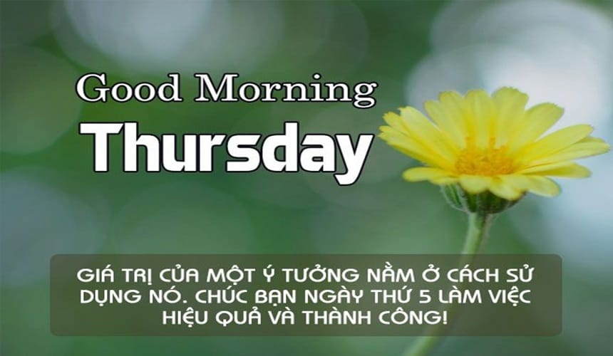 Lời chúc thứ 5 hay cho đồng nghiệp