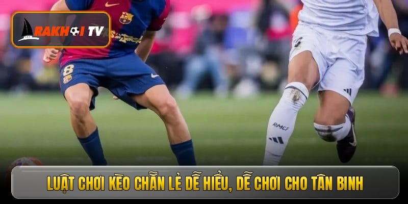 Luật chơi kèo chẵn lẻ dễ hiểu, dễ chơi cho tân binh