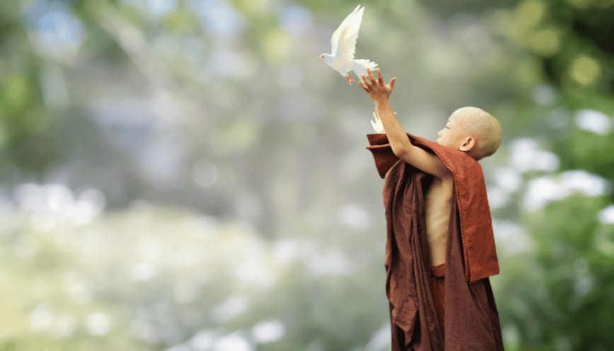 Mẫu văn khấn phóng sinh chim