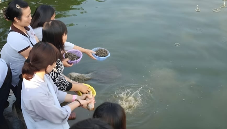 Mẫu văn khấn phóng sinh ốc