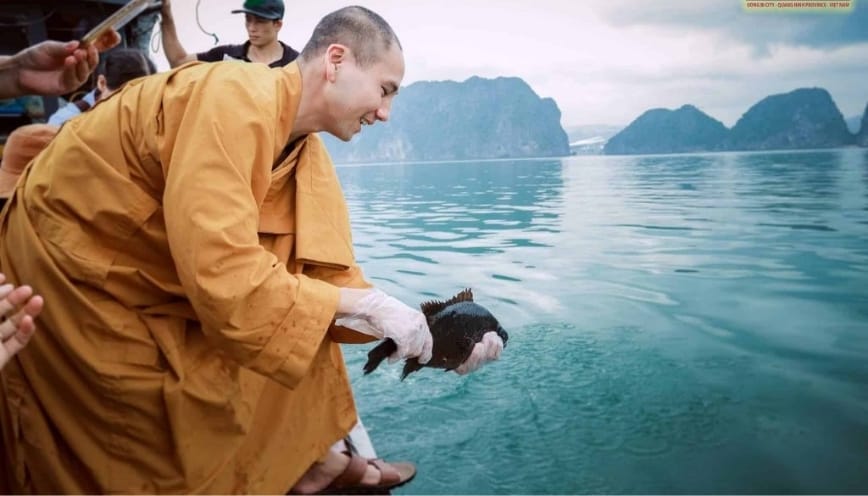 Ý nghĩa hành động phóng sinh trong Phật giáo